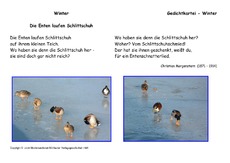 Enten-Schlittschuh-Morgenstern.pdf